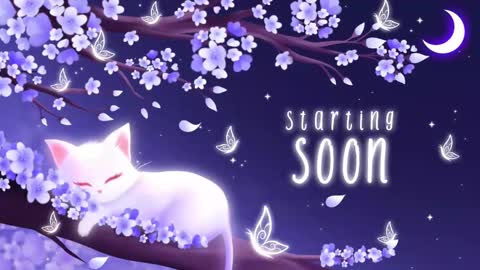 Snapshot of sassykittyn chatting on 09.22.25 Sassy Sami Kittyn online show from 09.22.25