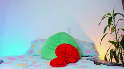     online show from 11.19.25