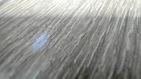 sayo_mao18 online show from 03.17.26