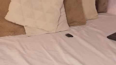 Snapshot of scarleth_lux_ chatting on 10.16.25 Scarleth online show from 10.16.25