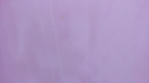 Scarlett 3 online show from 02.28.26