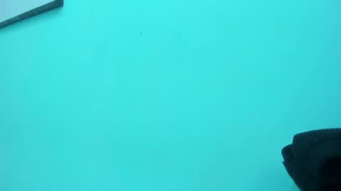 Snapshot of scarlett_fox20 chatting on 05.13.26 scarlett_fox20 online show from 05.13.26