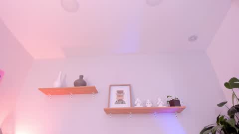 Scarlett Morgan online show from 02.19.25