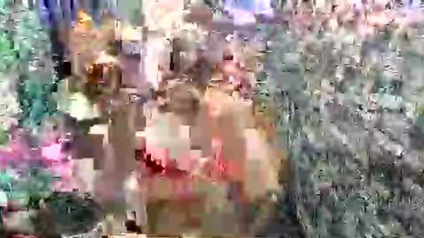 SCAS ANGEL S online show from 04.27.26