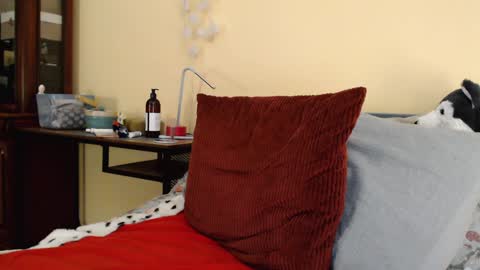 Scarlett online show from 01.08.25