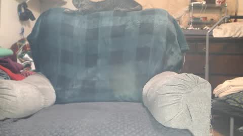 Scarlotta online show from 02.04.26