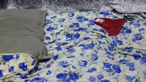 Its Lilly online show from 01.25.25