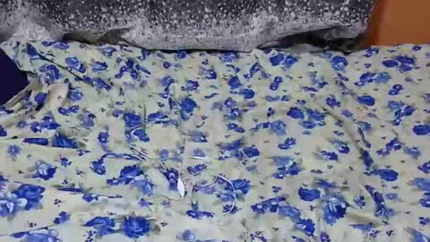 Its Lilly online show from 01.27.25