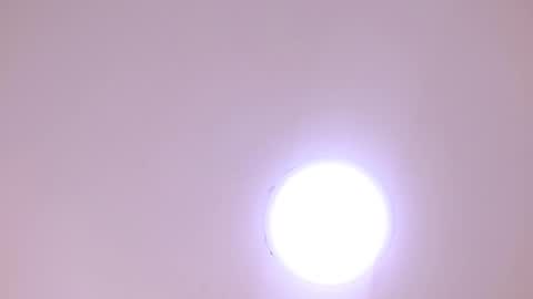 Damar online show from 01.08.26