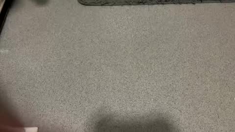 Snapshot of scottyc48 chatting on 12.01.25 scottyc48 online show from 12.01.25