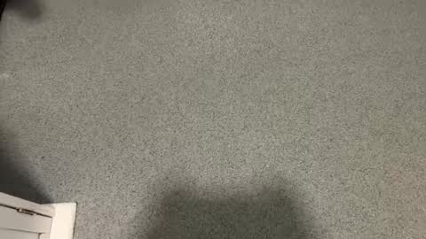 scottyc48 online show from 12.17.25