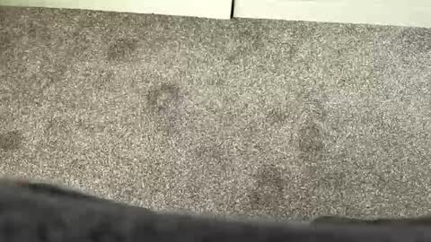 scottyc48 online show from 03.21.26