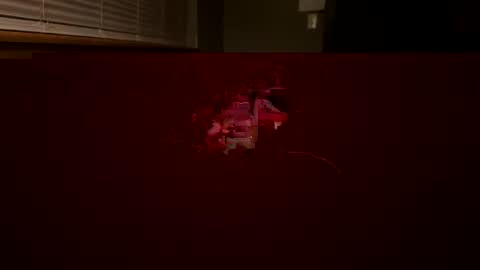 scottyn69 online show from 12.22.24