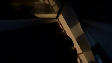 sdddisk online show from 01.22.25