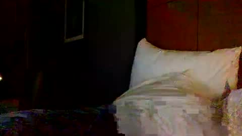 Snapshot of seanfritz1984 chatting on 03.11.25 dick online show from 03.11.25