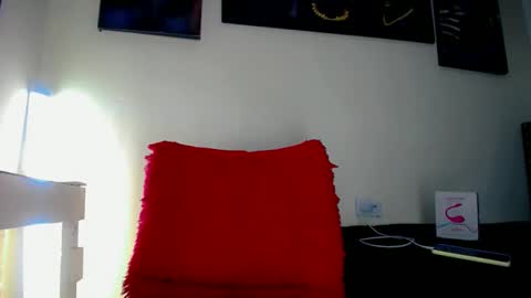 Sebastian online show from 11.11.25