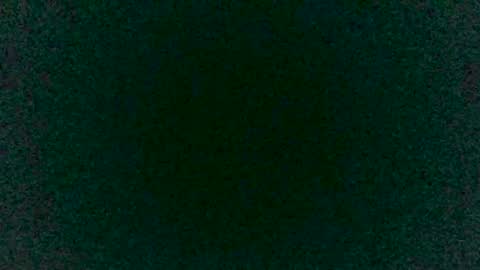 Sunny online show from 03.12.25