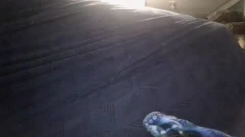 Sunny online show from 02.24.26