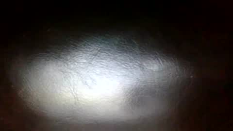 Sunny online show from 02.26.26