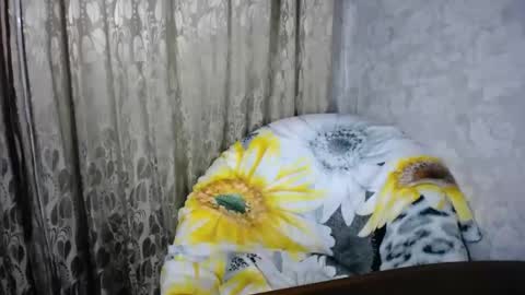 secretcandy222 online show from 03.01.25