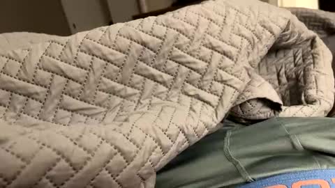 secretlyseductive9399 online show from 12.08.24