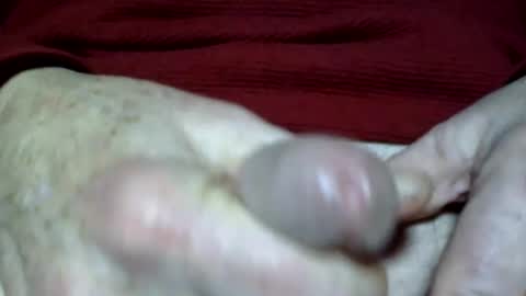 seeus24 online show from 02.19.25