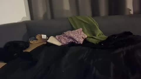 Snapshot of selfiepicdump chatting on 01.03.25 Julian Kinky Bi-guy online show from 01.03.25