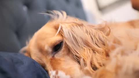 senssual_goddess online show from 10.07.25