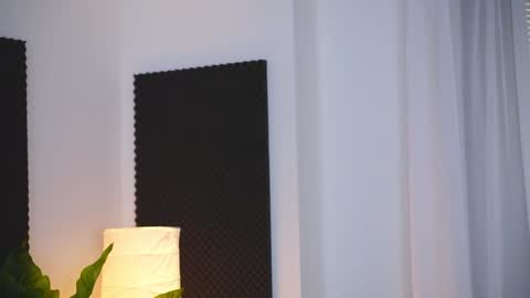 Snapshot of seraphicsin chatting on 01.15.25 Seraphine online show from 01.15.25