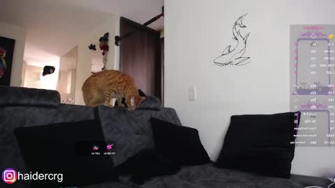 Snapshot of setth_69 chatting on 02.07.26 setth online show from 02.07.26