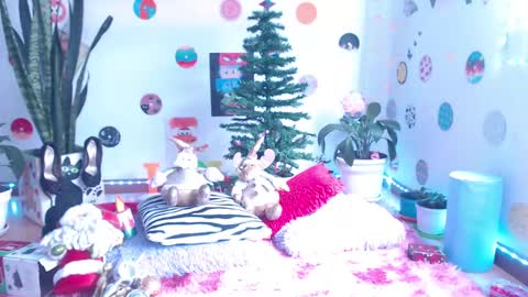 samy online show from 12.05.24