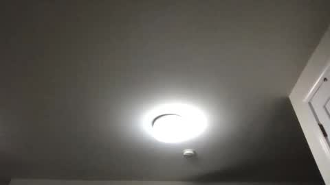 seveninchsteve_ online show from 11.19.25