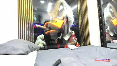 sexy78michell online show from 02.14.26