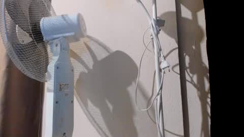 Alice online show from 09.20.25