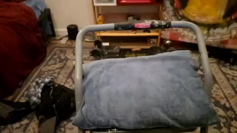 Cayden online show from 01.23.25