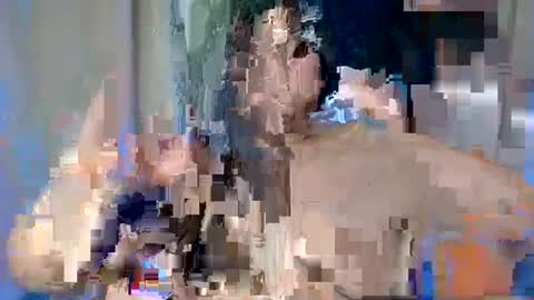 ALFREA online show from 02.17.25