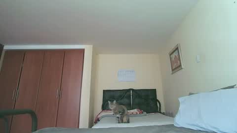 Snapshot of sexyaliceskay chatting on 07.27.26 Alice Skay online show from 07.27.26