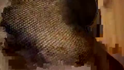 Snapshot of sexycplluv chatting on 11.09.25 Forever Erotica online show from 11.09.25