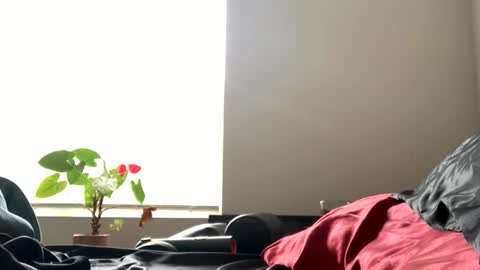 sexyhornyman1993 online show from 06.02.26