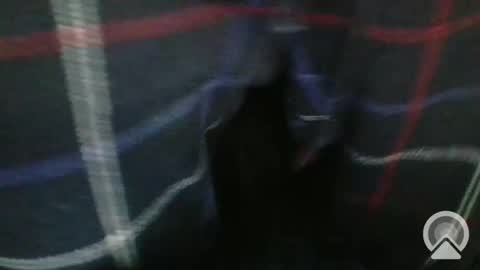 sgtcumhardjaxfl online show from 02.06.25