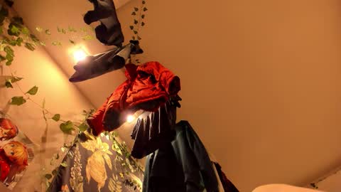 Snapshot of shadow_raffi chatting on 11.07.25 shadow_raffi online show from 11.07.25