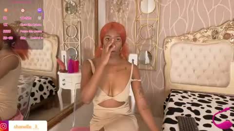 S H A N E L L E   online show from 06.13.26