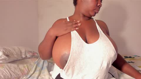 shack03 online show from 12.28.24