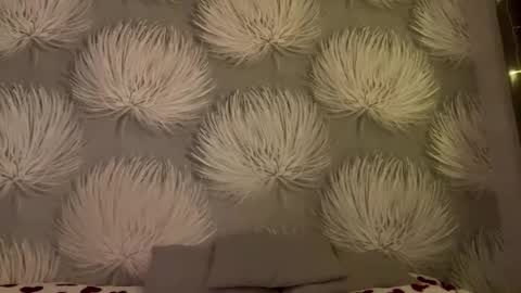 Alica online show from 01.11.26