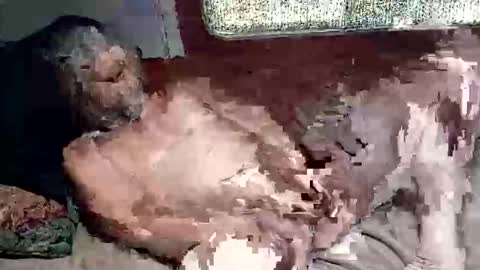 Shamroc online show from 03.04.26