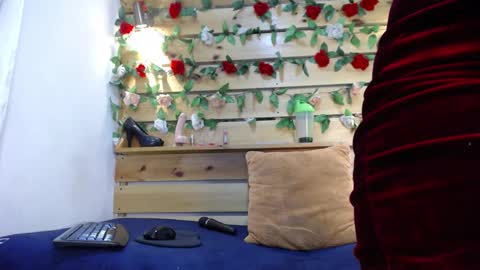 Snapshot of sharol_heart_ chatting on 02.18.25 Sharol online show from 02.18.25