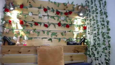 Snapshot of sharol_heart_ chatting on 02.27.25 Sharol online show from 02.27.25