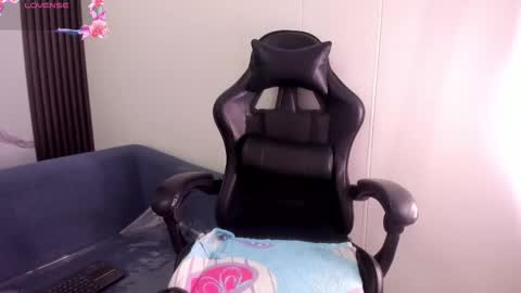 Snapshot of shaunadream_ chatting on 01.17.26 Shauna online show from 01.17.26