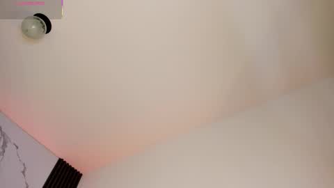 Snapshot of shaunadream_ chatting on 02.19.26 Shauna online show from 02.19.26