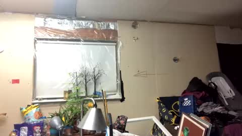 Shelby holes online show from 03.10.25